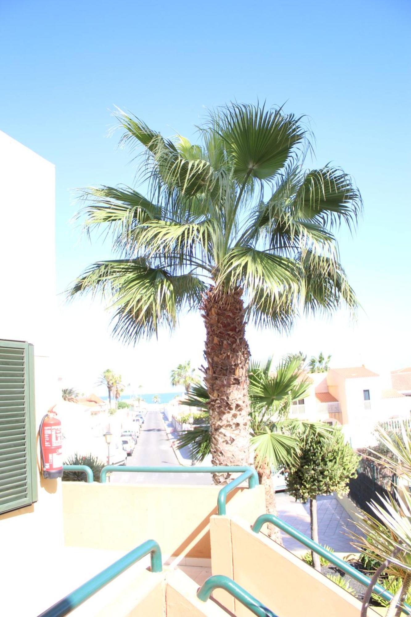 Pachi Beach Atlantic Garden Corralejo Buitenkant foto